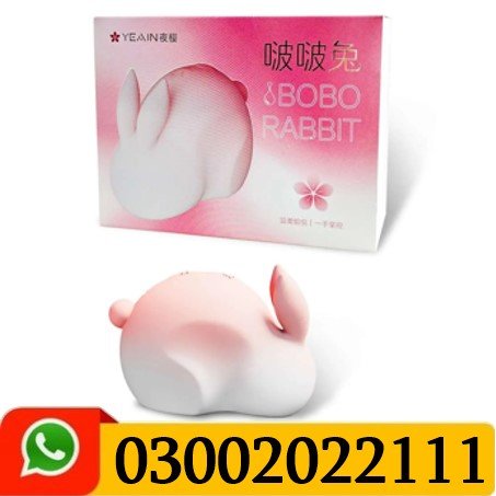Bobo Rabbit Price in Pakistan