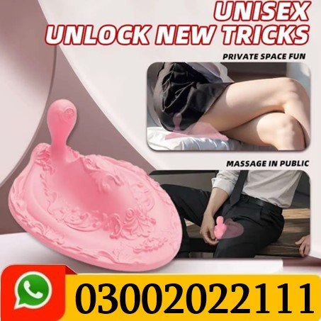 Dragon and Phoenix Pad Vibration Massager In Pakistan