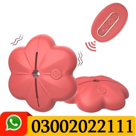 Nipple Vibrator Breast Clamp Sucker With Control